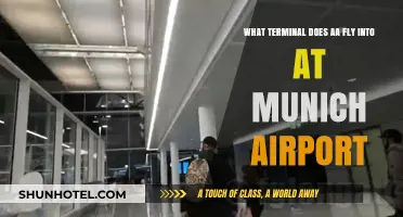 American Airlines Munich Airport Terminal Guide: Where Does AA Fly In?