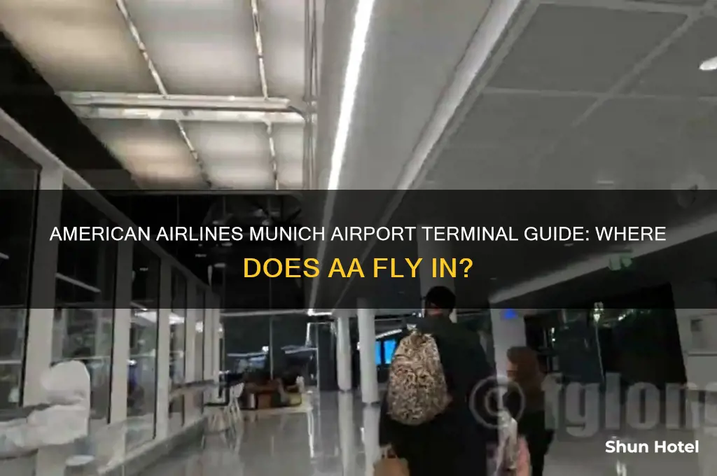 what terminal does aa fly into at munich airport