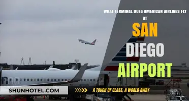 American Airlines Terminal Guide: Navigating San Diego Airport Easily