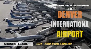 American Airlines' Terminal at Denver International Airport: A Quick Guide