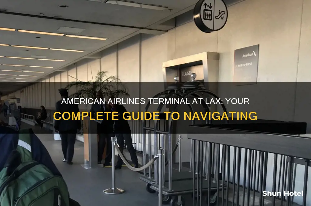 what terminal does american fly into lax airport