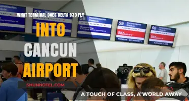 Delta Flight 933 Cancun Airport Terminal Guide: Arrival Info