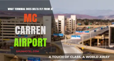 Delta's McCarran Airport Terminal: A Comprehensive Guide for Travelers