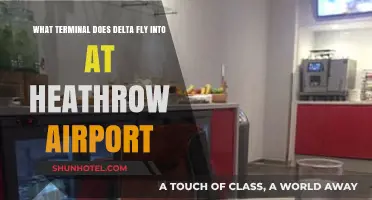 Delta's Heathrow Terminal: A Guide to Navigating London's Airport