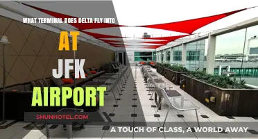 Delta's JFK Terminal: Navigating Your Arrival at New York's JFK Airport
