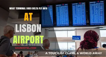 Delta's Lisbon Airport Terminal: A Comprehensive Guide for Travelers