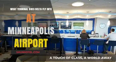 Delta's Minneapolis Terminal: A Guide to MSP Airport Arrivals