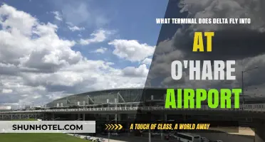 Delta's Terminal at O'Hare: A Comprehensive Guide for Travelers