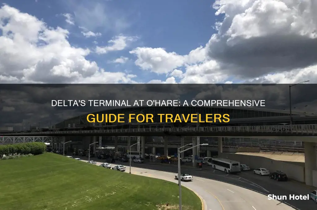 what terminal does delta fly into at o
