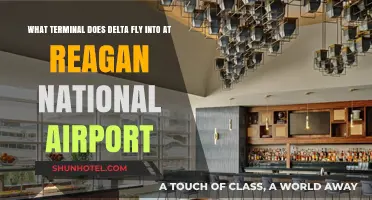 Delta's Terminal at Reagan National Airport: A Comprehensive Guide
