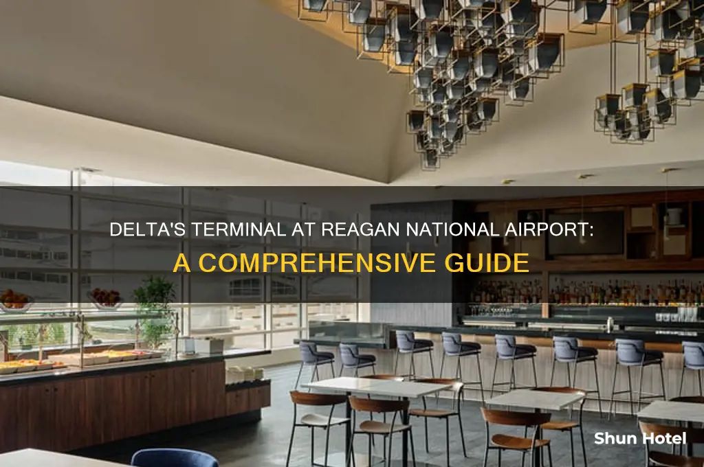 what terminal does delta fly into at reagan national airport