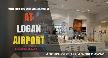 Delta Airlines Terminal Guide: Navigating Logan Airport for Smooth Travel