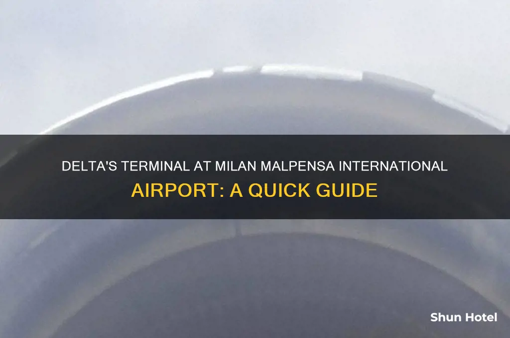 what terminal does delta use at milan malpensa international airport