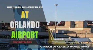 JetBlue's Orlando Airport Terminal Guide: Where to Arrive and Depart