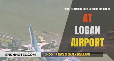 JetBlue Terminal Guide: Navigating Logan Airport for Your Next Flight