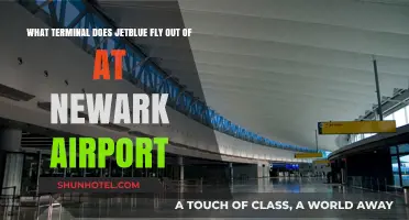 JetBlue's Newark Airport Terminal Guide: Which One Do They Use?
