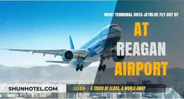 JetBlue's Terminal at Reagan Airport: A Comprehensive Guide for Travelers
