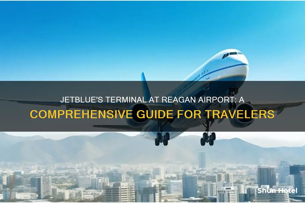 what terminal does jetblue fly out of at reagan airport
