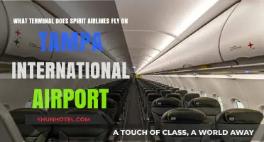 Spirit Airlines Terminal Guide: Navigating Tampa International Airport
