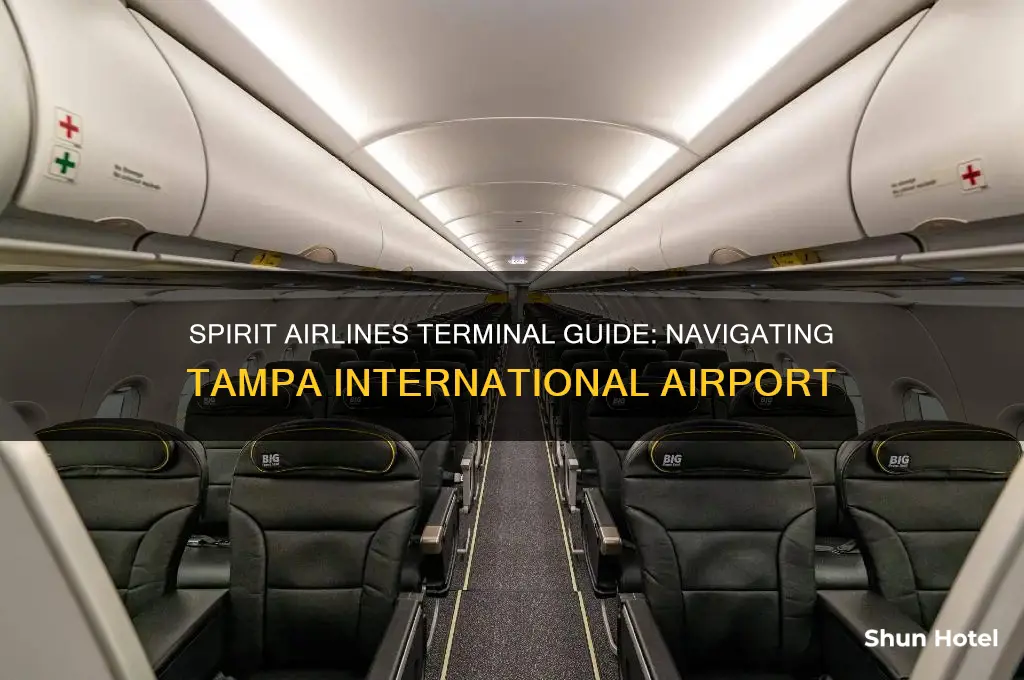 what terminal does spirit airlines fly on tampa international airport