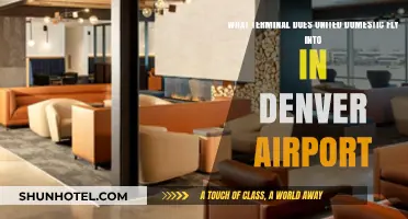 United Domestic Flights at Denver Airport: Which Terminal to Use