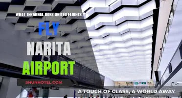 United Flights at Narita Airport: Terminal Guide for Travelers