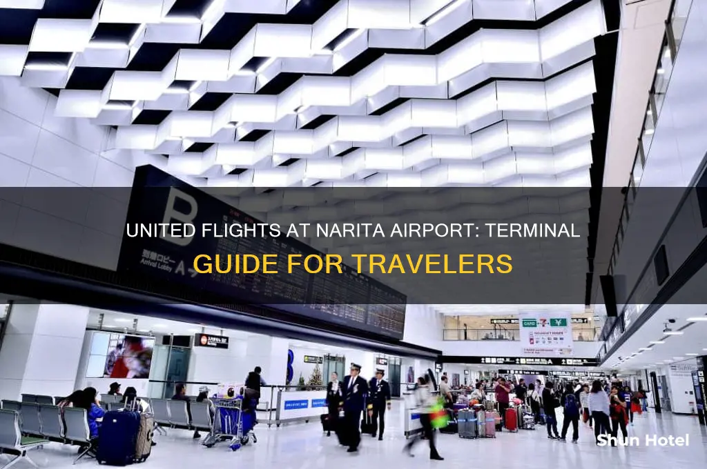 what terminal does united flights fly narita airport