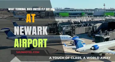 United Airlines Terminal Guide: Navigating Newark Airport's Departures