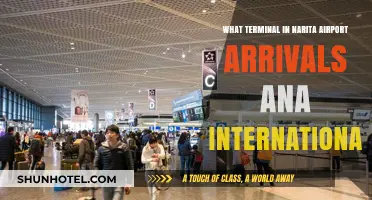 ANA International Arrivals Terminal Guide at Narita Airport