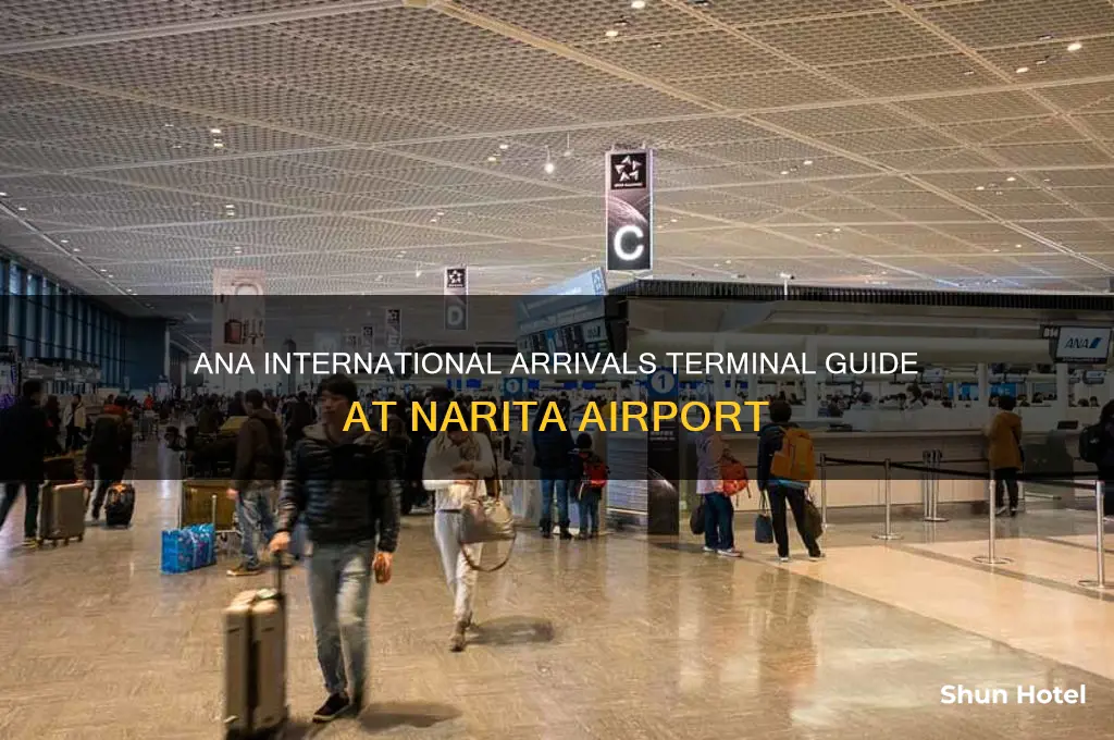 what terminal in narita airport arrivals ana international