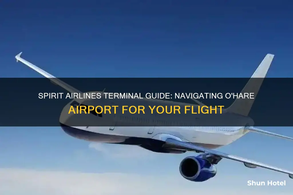 what terminal in ohare airport does spirit fly out of