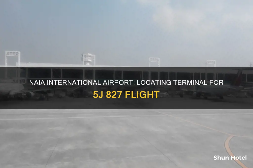 what terminal is 5j 827 at naia international airport