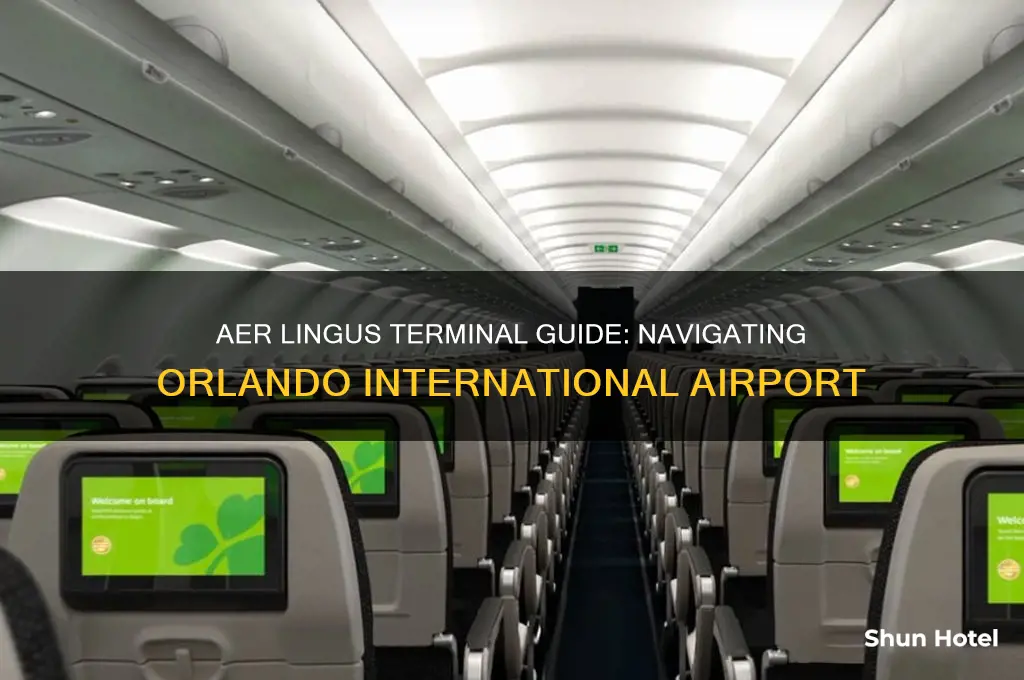 what terminal is aer lingus flightat orlando international airport