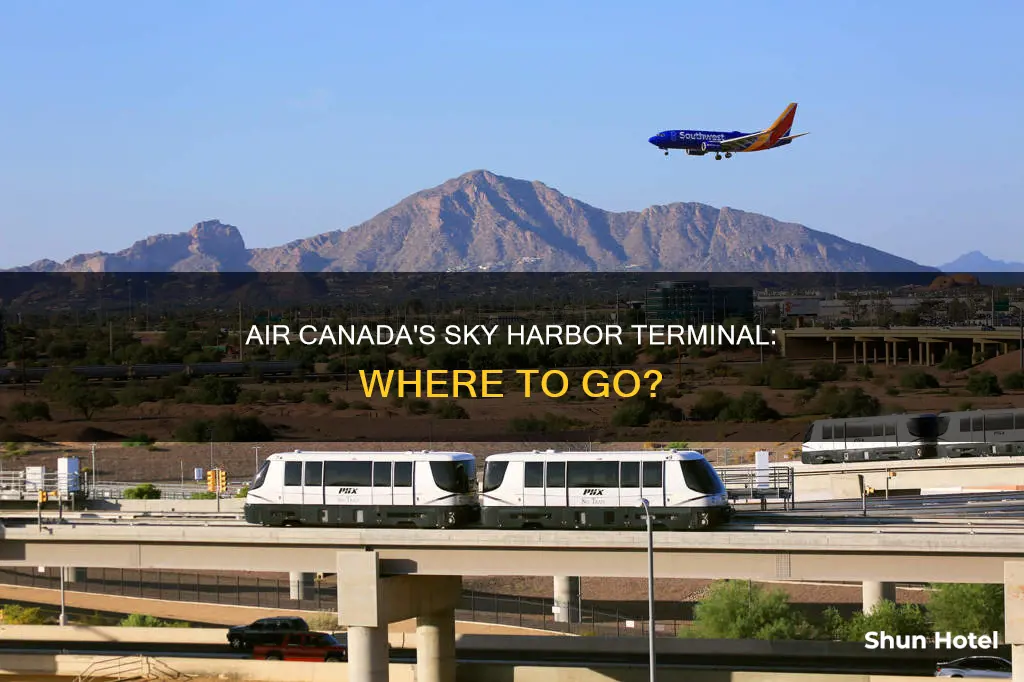 what terminal is air canada at sky harbor airport