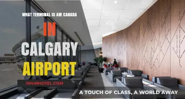 Air Canada's Calgary Terminal: A Traveller's Guide