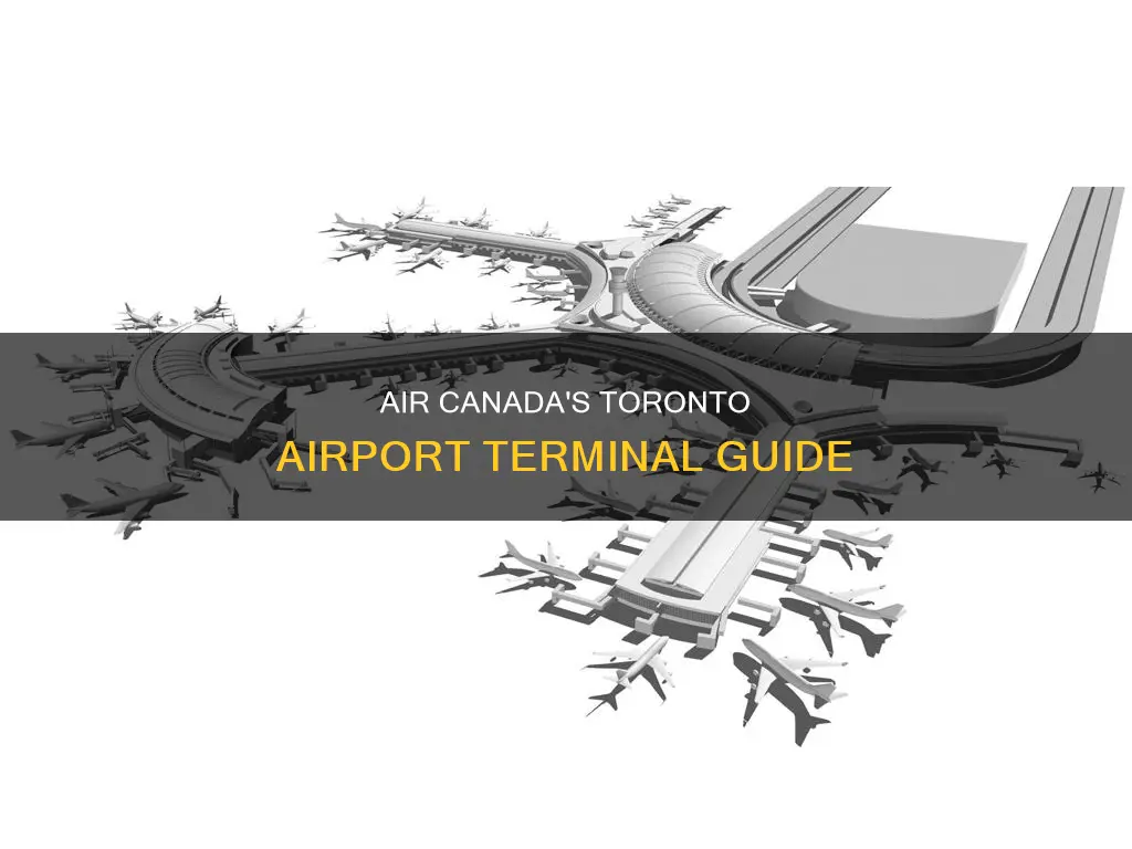 what terminal is air canada in toronto airport