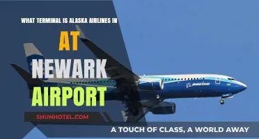 Exploring Newark Airport: Alaska Airlines' Terminal Guide