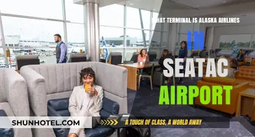 Exploring Sea-Tac: Alaska Airlines' Terminal Guide