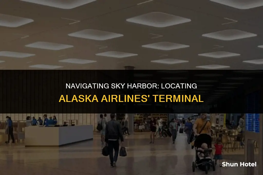 what terminal is alaska at sky harbor airport