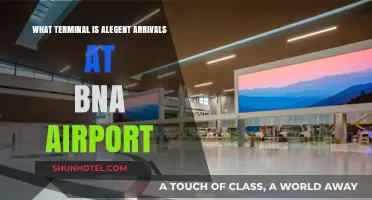 Alegent Arrivals at BNA: Your Guide to Terminal Navigation
