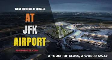Alitalia's JFK Terminal: Your Ultimate Guide to Navigating the Airport