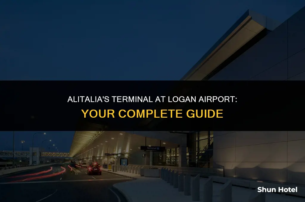 what terminal is alitalia at logan airport