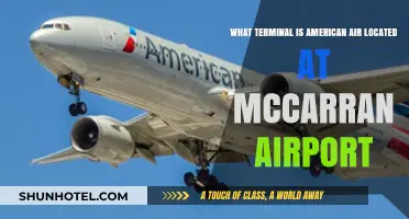 Exploring McCarran: American Airlines' Terminal Guide