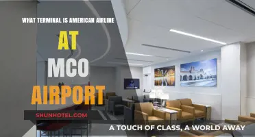 Exploring MCO: American Airlines' Terminal Guide