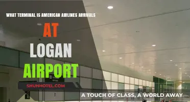 Where to Find American Airlines Arrivals at Logan Airport