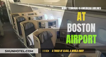 Exploring Boston Airport: American Airlines Terminal Guide