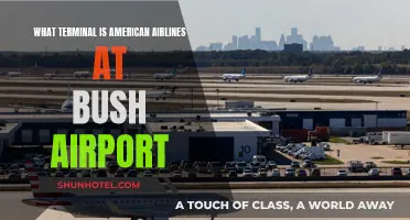 Exploring Bush Airport: American Airlines Terminal Guide
