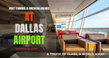 Navigating Dallas Airport: Where to Find American Airlines Terminal