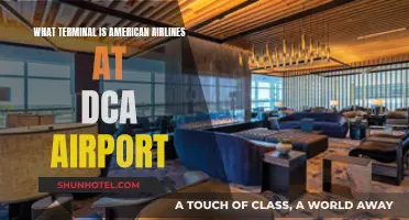 Exploring DCA: American Airlines' Terminal Guide