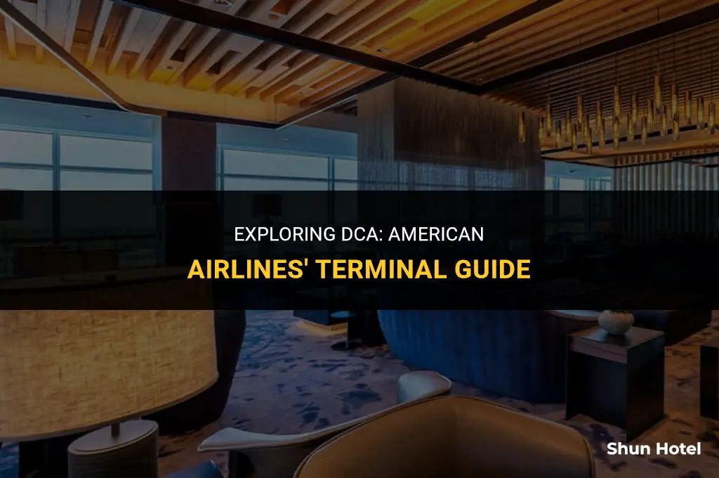 what terminal is american airlines at dca airport